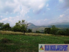 teren-extravilan-2800-mp-in-cretisoara-campulung-muscel-arges-oportunitate-pentru-agricultura-si-investitii-6