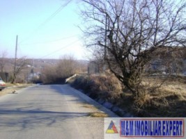 teren-intravilan-17-ha-pitesti-smeura-arges-ideal-pentru-dezvoltari-rezidentiale