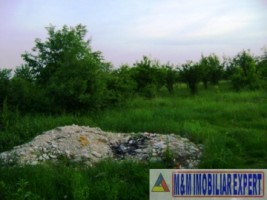 teren-intravilan-17-ha-pitesti-smeura-arges-ideal-pentru-dezvoltari-rezidentiale-6