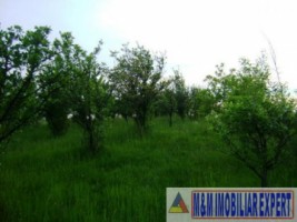 teren-intravilan-17-ha-pitesti-smeura-arges-ideal-pentru-dezvoltari-rezidentiale-8