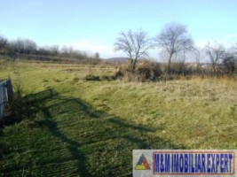 teren-intravilan-1500-mp-de-vanzare-in-pitesti-bascov-ideal-pentru-constructii