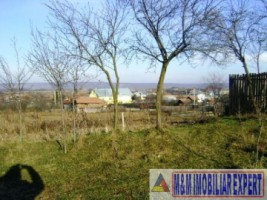 teren-intravilan-1500-mp-de-vanzare-in-pitesti-bascov-ideal-pentru-constructii-3