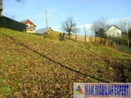 teren-intravilan-1500-mp-de-vanzare-in-pitesti-bascov-ideal-pentru-constructii-5