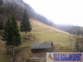 teren-intravilan-8000-mp-de-vanzare-in-cheile-dambovicioarei-dambovicioara-ideal-pentru-proiecte-turistice-si-rezidentiale