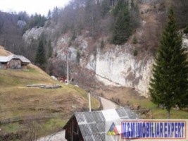 teren-intravilan-8000-mp-de-vanzare-in-cheile-dambovicioarei-dambovicioara-ideal-pentru-proiecte-turistice-si-rezidentiale-1