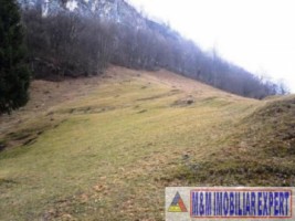 teren-intravilan-8000-mp-de-vanzare-in-cheile-dambovicioarei-dambovicioara-ideal-pentru-proiecte-turistice-si-rezidentiale-3