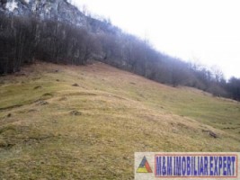 teren-intravilan-8000-mp-de-vanzare-in-cheile-dambovicioarei-dambovicioara-ideal-pentru-proiecte-turistice-si-rezidentiale-4