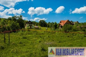 teren-4500-mp-intravilan-de-vanzare-in-bran-brasov-ideal-pentru-constructii-rezidentiale-sau-turistice