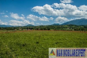 teren-4500-mp-intravilan-de-vanzare-in-bran-brasov-ideal-pentru-constructii-rezidentiale-sau-turistice-10