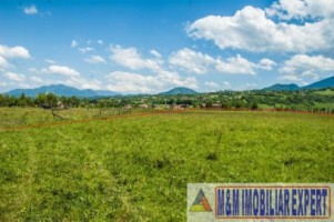 teren-4500-mp-intravilan-de-vanzare-in-bran-brasov-ideal-pentru-constructii-rezidentiale-sau-turistice-11