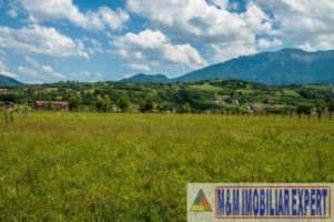 teren-4500-mp-intravilan-de-vanzare-in-bran-brasov-ideal-pentru-constructii-rezidentiale-sau-turistice-8