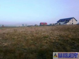 teren-intravilan-1-ha-de-vanzare-in-bughea-de-jos-ideal-pentru-dezvoltari-rezidentiale-sau-agricole-2