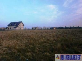 teren-intravilan-1-ha-de-vanzare-in-bughea-de-jos-ideal-pentru-dezvoltari-rezidentiale-sau-agricole-3