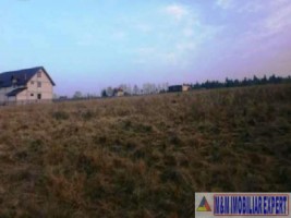 teren-intravilan-1-ha-de-vanzare-in-bughea-de-jos-ideal-pentru-dezvoltari-rezidentiale-sau-agricole-5