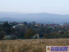 teren-intravilan-1-ha-de-vanzare-in-bughea-de-jos-ideal-pentru-dezvoltari-rezidentiale-sau-agricole-9