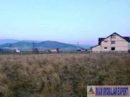 teren-intravilan-1-ha-de-vanzare-in-bughea-de-jos-ideal-pentru-dezvoltari-rezidentiale-sau-agricole-10