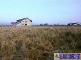 teren-intravilan-1-ha-de-vanzare-in-bughea-de-jos-ideal-pentru-dezvoltari-rezidentiale-sau-agricole-7