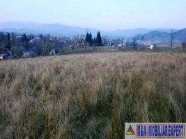 teren-intravilan-1-ha-de-vanzare-in-bughea-de-jos-ideal-pentru-dezvoltari-rezidentiale-sau-agricole-8