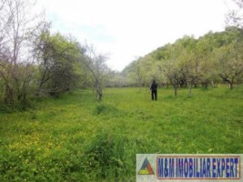 teren-3560-mp-intravilan-de-vanzare-in-mesetesti-arges-ideal-pentru-dezvoltare-rezidentiala-1