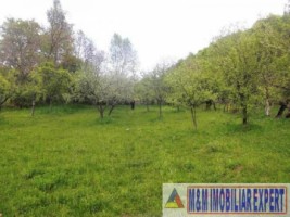 teren-3560-mp-intravilan-de-vanzare-in-mesetesti-arges-ideal-pentru-dezvoltare-rezidentiala-2