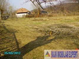 teren-intravilan-1900-mp-de-vanzare-in-dragoslavele-arges-oportunitate-pentru-constructii-rezidentiale-2