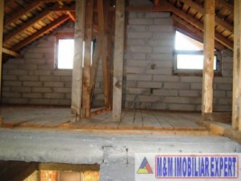 vila-9-camere-cu-teren-5000-mp-de-vanzare-in-apa-sarata-campulung-muscel-arges-ideala-pentru-locuinta-de-lux-sau-pensiune-9