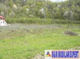 vila-9-camere-cu-teren-5000-mp-de-vanzare-in-apa-sarata-campulung-muscel-arges-ideala-pentru-locuinta-de-lux-sau-pensiune-25