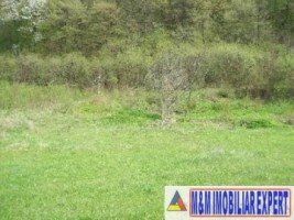 vila-9-camere-cu-teren-5000-mp-de-vanzare-in-apa-sarata-campulung-muscel-arges-ideala-pentru-locuinta-de-lux-sau-pensiune-26