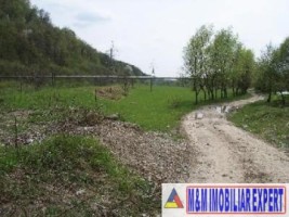 vila-9-camere-cu-teren-5000-mp-de-vanzare-in-apa-sarata-campulung-muscel-arges-ideala-pentru-locuinta-de-lux-sau-pensiune-27