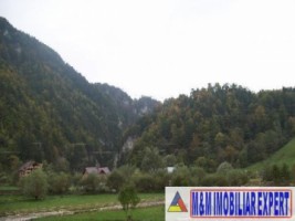 teren-extravilan-de-21759-ha-de-vanzare-in-valea-cheii-dambovicioara-arges-ideal-pentru-proiecte-turistice-si-agricole