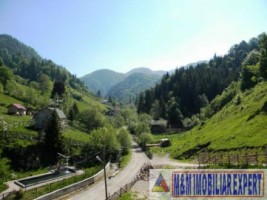 teren-extravilan-de-21759-ha-de-vanzare-in-valea-cheii-dambovicioara-arges-ideal-pentru-proiecte-turistice-si-agricole-1