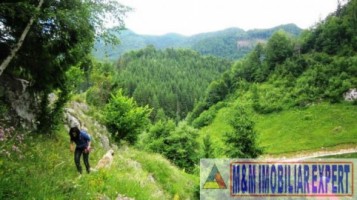 teren-extravilan-de-21759-ha-de-vanzare-in-valea-cheii-dambovicioara-arges-ideal-pentru-proiecte-turistice-si-agricole-2