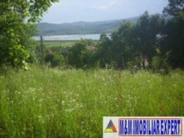 teren-intravilan-9731-mp-de-vanzare-in-baiculesti-arges-ideal-pentru-dezvoltari-rezidentiale-sau-investitii