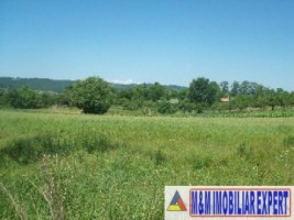 teren-intravilan-9731-mp-de-vanzare-in-baiculesti-arges-ideal-pentru-dezvoltari-rezidentiale-sau-investitii-1