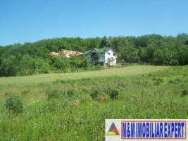 teren-intravilan-9731-mp-de-vanzare-in-baiculesti-arges-ideal-pentru-dezvoltari-rezidentiale-sau-investitii-3