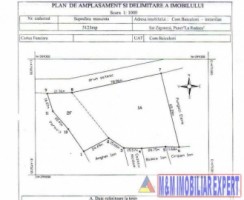 teren-intravilan-9731-mp-de-vanzare-in-baiculesti-arges-ideal-pentru-dezvoltari-rezidentiale-sau-investitii-7