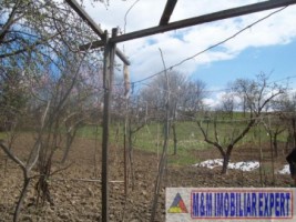 teren-intravilan-3000-mp-de-vanzare-in-visoi-campulung-muscel-arges-potrivit-pentru-proiecte-rezidentiale-si-de-vacanta-1