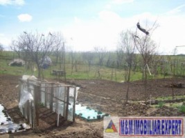 teren-intravilan-3000-mp-de-vanzare-in-visoi-campulung-muscel-arges-potrivit-pentru-proiecte-rezidentiale-si-de-vacanta-3