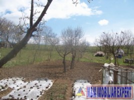 teren-intravilan-3000-mp-de-vanzare-in-visoi-campulung-muscel-arges-potrivit-pentru-proiecte-rezidentiale-si-de-vacanta-5