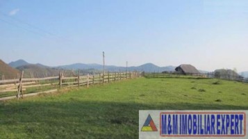 teren-extravilan-1217-ha-de-vanzare-in-podul-dambovitei-dambovicioara-arges-oportunitate-pentru-dezvoltari-turistice-si-agricole