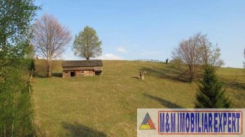 teren-extravilan-1217-ha-de-vanzare-in-podul-dambovitei-dambovicioara-arges-oportunitate-pentru-dezvoltari-turistice-si-agricole-1