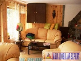 vila-6-camere-teren-2330-mp-bughea-de-jos-4