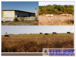 complex-economic-teren-496-ha-de-vanzare-in-constanta-ideal-pentru-dezvoltari-industriale-5