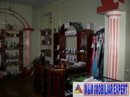 liber-un-apartament-spatii-in-vila-campulung-7