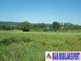 teren-988-mp-intravilan-de-vanzare-in-costesti-godeni-arges-potential-pentru-constructii-rezidentiale