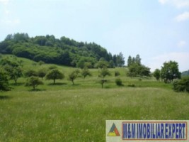 teren-intravilan-5098-mp-de-vanzare-in-galesu-bradulet-arges-oportunitate-excelenta-pentru-dezvoltari-rezidentiale-sau-turistice