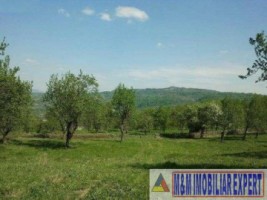 teren-2-ha-de-vanzare-intravilan-in-marcus-campulung-muscel-arges-ideal-pentru-investitii-imobiliare-sau-constructii