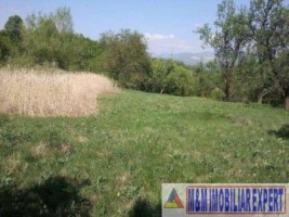 teren-2-ha-de-vanzare-intravilan-in-marcus-campulung-muscel-arges-ideal-pentru-investitii-imobiliare-sau-constructii-1