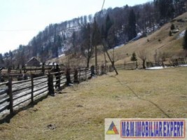 teren-intravilan-6100-mp-de-vanzare-rucar-arges-ideal-pentru-dezvoltari-turistice-sau-rezidentiale