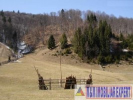 teren-intravilan-6100-mp-de-vanzare-rucar-arges-ideal-pentru-dezvoltari-turistice-sau-rezidentiale-1